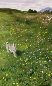 春の花の中のウサギ