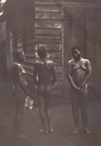 3 人のマダガスカルの女性 (プレート 30)