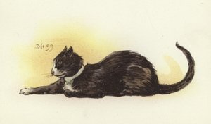 サボイキャット 作： Dudley Hardy