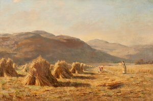 Dumyat、Ochil Hills の近くでの収穫 (キャンバスに油彩)