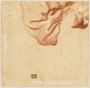 ドレープ研究 (裏面) 作： Dutch 17th Century