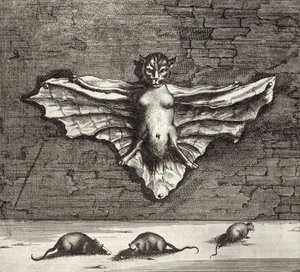飛ぶ猫として知られるコウモリ、中国出身アタナシウス・キルヒャー（1601-80）1667 作： Dutch School