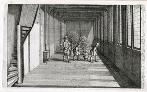 1676年に出版されたJan CommelinによるDe Nederlandze Hesperidesから夏に向けて庭に木を移動する 作： Dutch School