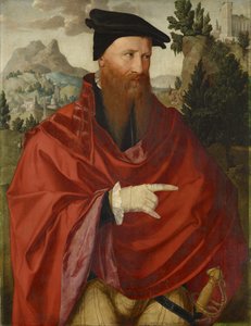 アナバプテストのデビッドジョリスの肖像、1540年〜45年頃 作： Dutch School