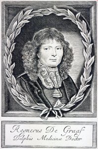 レニエドグラーフ、1670年頃 作： Dutch School