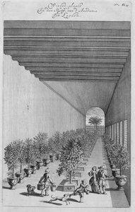 Jan CommelinによるDe Nederlandze Hesperidesの強制家屋は1676年に出版されました 作： Dutch School