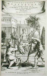1676年に出版されたヤン・コメリンの「De Nederlandze Hesperides」のタイトルページ（エングレーヴィング）。 作： Dutch School