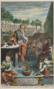 ヤン・コメリンとカスパー・コメリンによる「Horti Medici Amstelodamensis Rariorum Plantarum Historia」第2巻のタイトルページ。 作： Dutch School