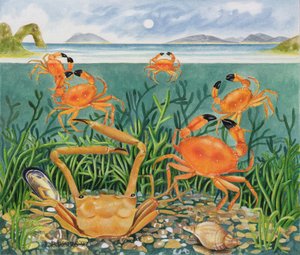 海のカニ、1997（紙にアクリル） 作： E.B. Watts