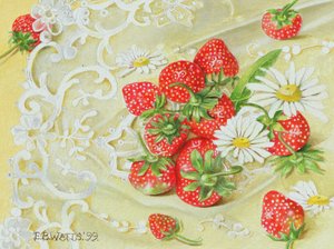 Strawberries on Lace、1999（紙にアクリル） 作： E.B. Watts