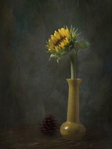 作： EDUARDO LLERANDI