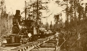 伐採鉄道、ブリティッシュコロンビア州、1930年。 作： ENA