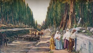 コンスタンチノープル、c1930s 作： ENA