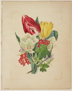 フローラの辞書からのチューリップの花束、1838