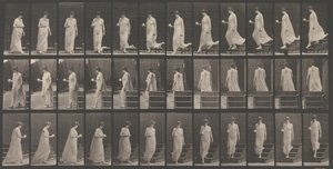 動物の移動。 動物の動きの電子写真調査. 開始...、1880年代。