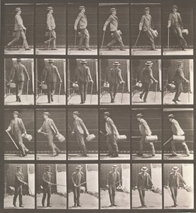 動物の移動。 動物の動きの電子写真調査. 開始...、1880年代。 作： Eadweard Muybridge