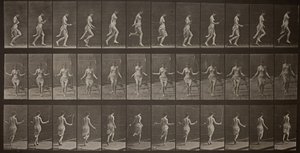 動物の移動、プレート 174、1887 年。 作： Eadweard Muybridge