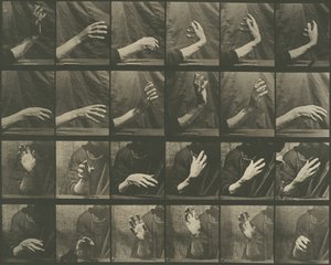 動物の移動、プレート 535、1887 年。 作： Eadweard Muybridge
