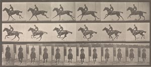 [Horse and Rider Galloping]、1883-86、1887 年に印刷。