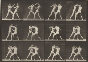 プレート番号 340。ボクシング、オープン ハンド シューズ、1887 年。 作： Eadweard Muybridge