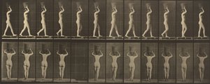 プレート番号 34。15 ポンドを歩いて運ぶ。 かごを頭にのせ、両手を上げて、1887 年。 作： Eadweard Muybridge