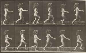 プレートナンバー469。1887年、子供が走る。 作： Eadweard Muybridge