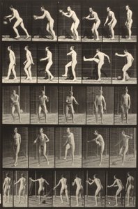 動物の運動（300版）（ボールを蹴る男） 作： Eadweard Muybridge