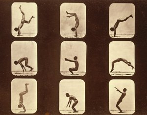 アスリートFlip flap "Animal Locomotion" series, c.1881 (bw photo) 作： Eadweard Muybridge