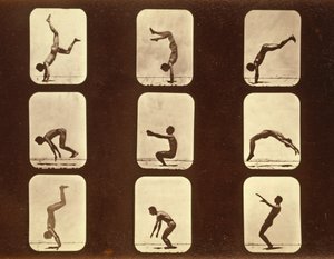 アスリート。 「Animal Locomotion」シリーズの不規則な作品、1881年頃 作： Eadweard Muybridge