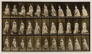 階段の下降と旋回（『Animal Locomotion』より 作： Eadweard Muybridge