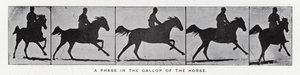Eadweard Muybridge（エドワード・マイブリッジ）。馬のギャロップの段階（モノクロ写真 作： Eadweard Muybridge