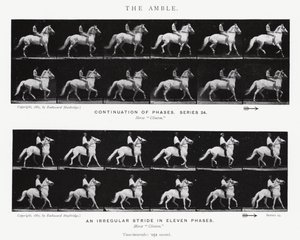 エドワード・マイブリッジザ・アンブル（モノクロ写真 作： Eadweard Muybridge
