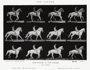エドワード・マイブリッジカンタ（モノクロ写真 作： Eadweard Muybridge
