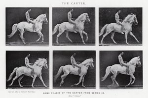 エドワード・マイブリッジカンタ（モノクロ写真 作： Eadweard Muybridge