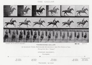 エドワード・マイブリッジギャロップ」（モノクロ写真 作： Eadweard Muybridge