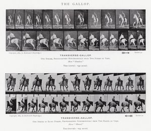 エドワード・マイブリッジギャロップ」（モノクロ写真 作： Eadweard Muybridge