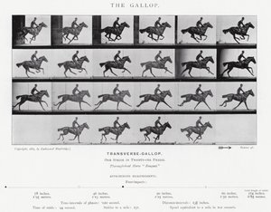 エドワード・マイブリッジギャロップ」（モノクロ写真 作： Eadweard Muybridge