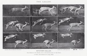 エドワード・マイブリッジギャロップ」（モノクロ写真 作： Eadweard Muybridge