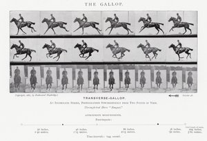 エドワード・マイブリッジギャロップ」（モノクロ写真 作： Eadweard Muybridge