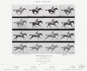 エドワード・マイブリッジギャロップ」（モノクロ写真 作： Eadweard Muybridge