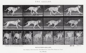 エドワード・マイブリッジギャロップ」（モノクロ写真 作： Eadweard Muybridge
