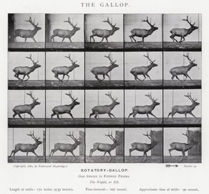 エドワード・マイブリッジギャロップ」（モノクロ写真 作： Eadweard Muybridge