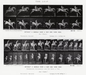 エドワード・マイブリッジ跳躍」（モノクロ写真 作： Eadweard Muybridge