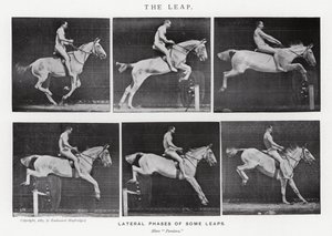 エドワード・マイブリッジ跳躍」（モノクロ写真 作： Eadweard Muybridge