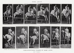 エドワード・マイブリッジ跳躍」（モノクロ写真 作： Eadweard Muybridge