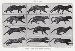 エドワード・マイブリッジ跳躍」（モノクロ写真 作： Eadweard Muybridge
