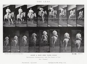 エドワード・マイブリッジ跳躍」（モノクロ写真 作： Eadweard Muybridge