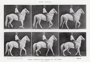 エドワード・マイブリッジザ・ウォーク」（モノクロ写真 作： Eadweard Muybridge