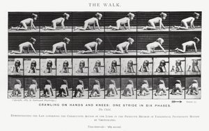 エドワード・マイブリッジザ・ウォーク」（モノクロ写真 作： Eadweard Muybridge