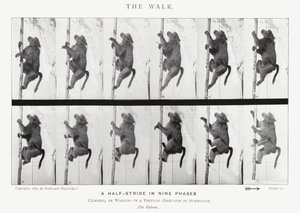 エドワード・マイブリッジザ・ウォーク」（モノクロ写真 作： Eadweard Muybridge